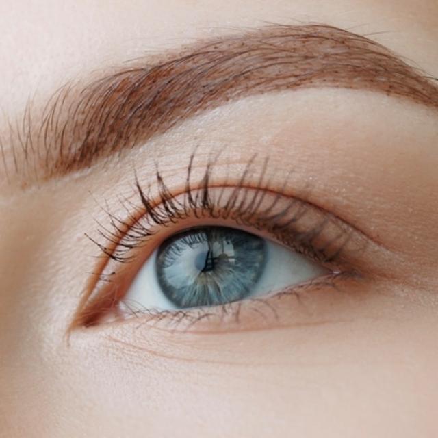 Brow Tint Society Club